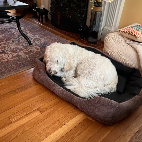 Meet your Posher, Edna - Picture 1 of 2